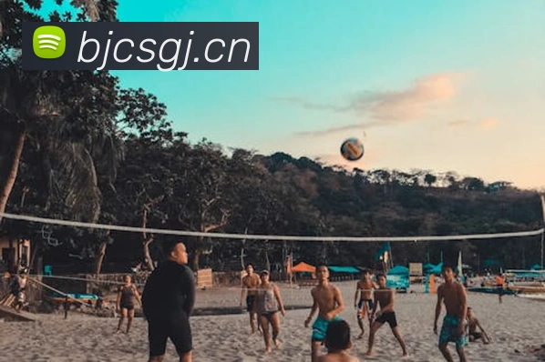 爱游戏ayx官网平台登录发展历程